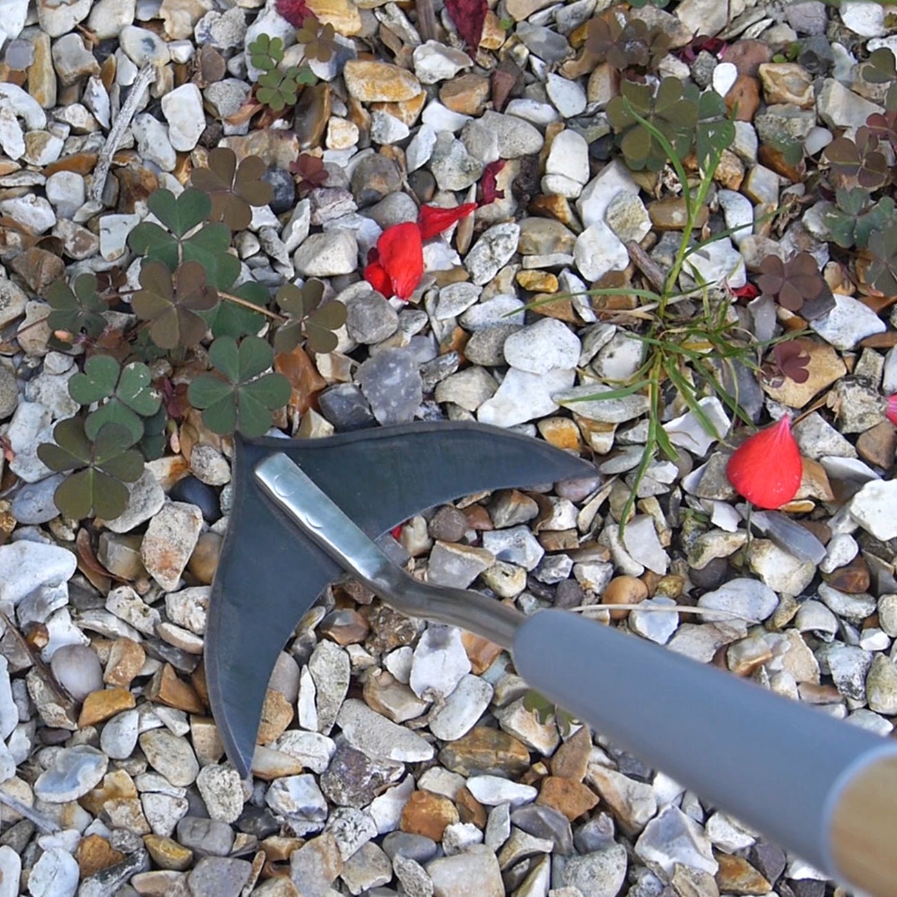 Short Handled Weed Slice - Frankton's