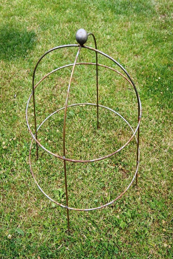 Small Cloche Plant Support Cage - Set of 2 - Frankton's