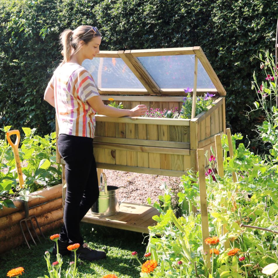 Small-Space Cold Frame - Frankton's