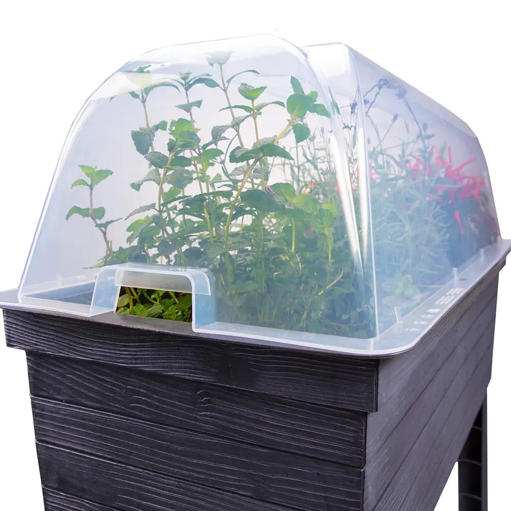 URBAN Balcony Raised Bed + Cloche Option - Frankton's