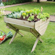 Veg Bed 1M - Frankton's