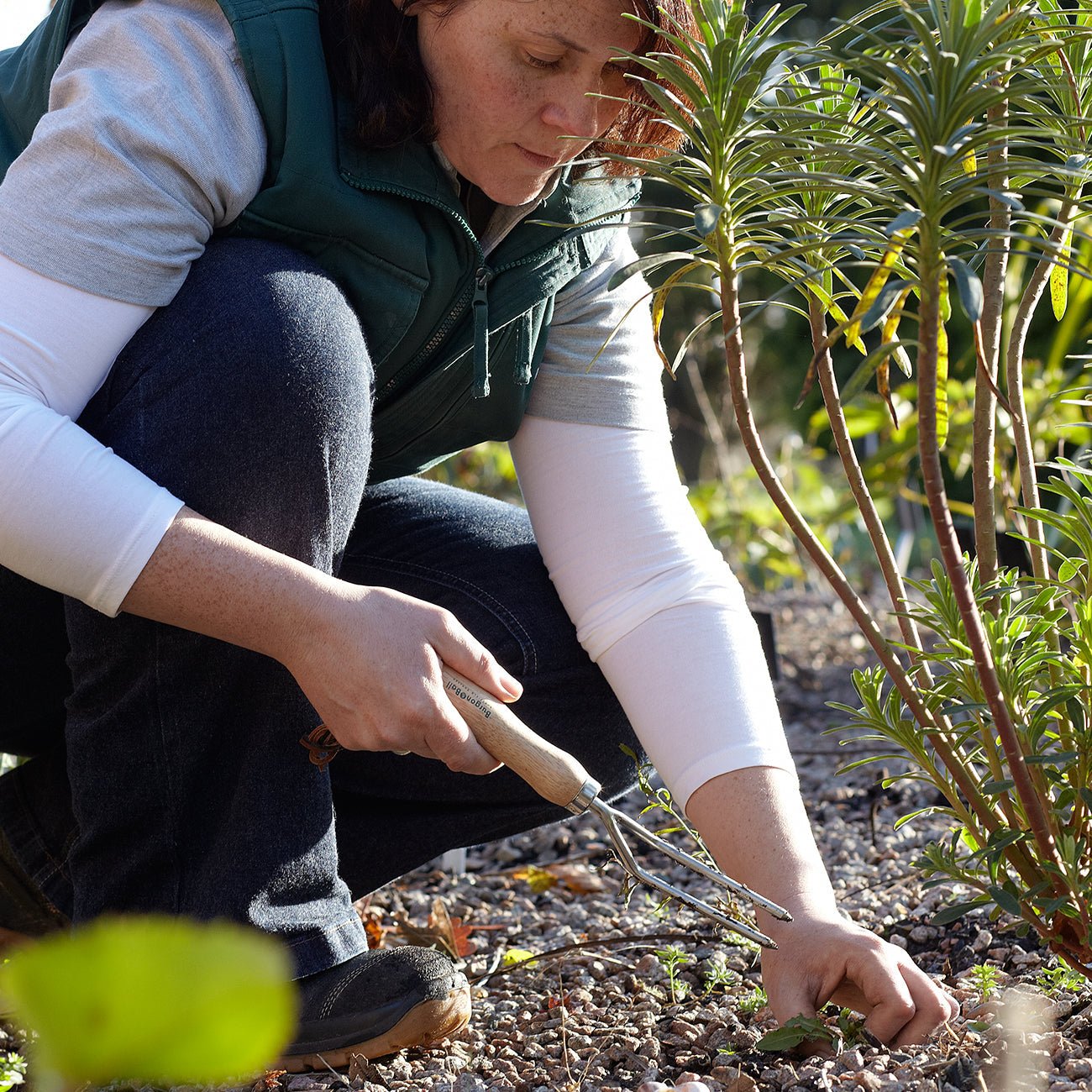 Weeding Fork - RHS Endorsed - Frankton's