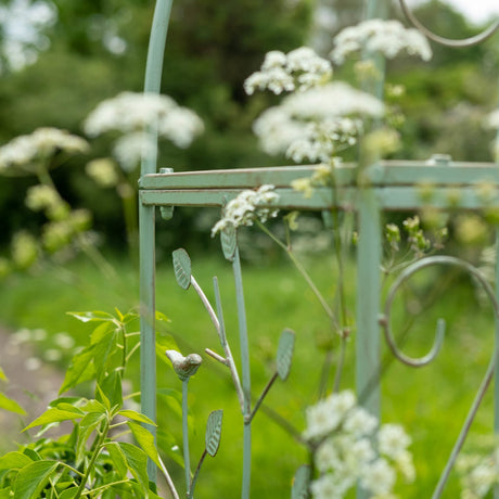 Woodland Arch - Green - Frankton's